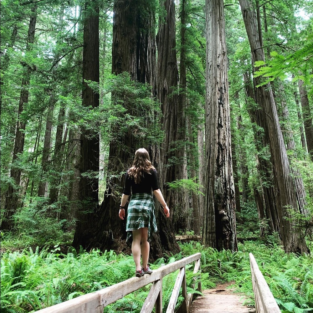 Meet your Posher, Ariel